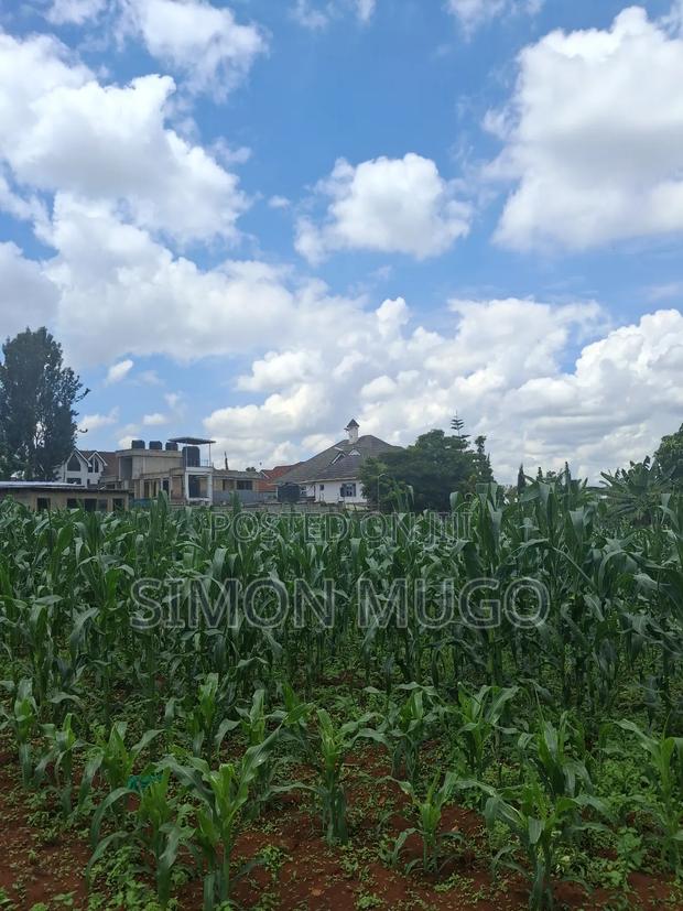 Runda Prime 1.5 Acres Touching Northern Bypass - thumbnail 2