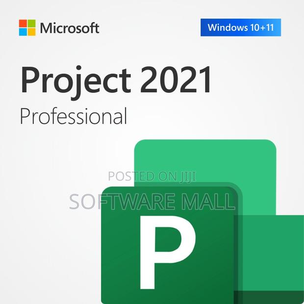 Project 2021 Professional 1 User