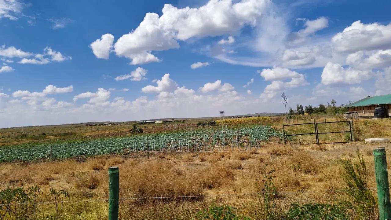 Nanyuki Plots