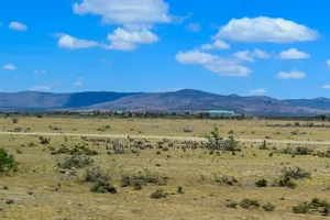 Nanyuki Plots