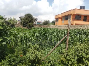 Plot for Sale in Gikambura