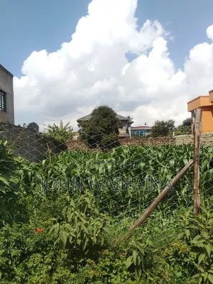 Plot for Sale in Gikambura