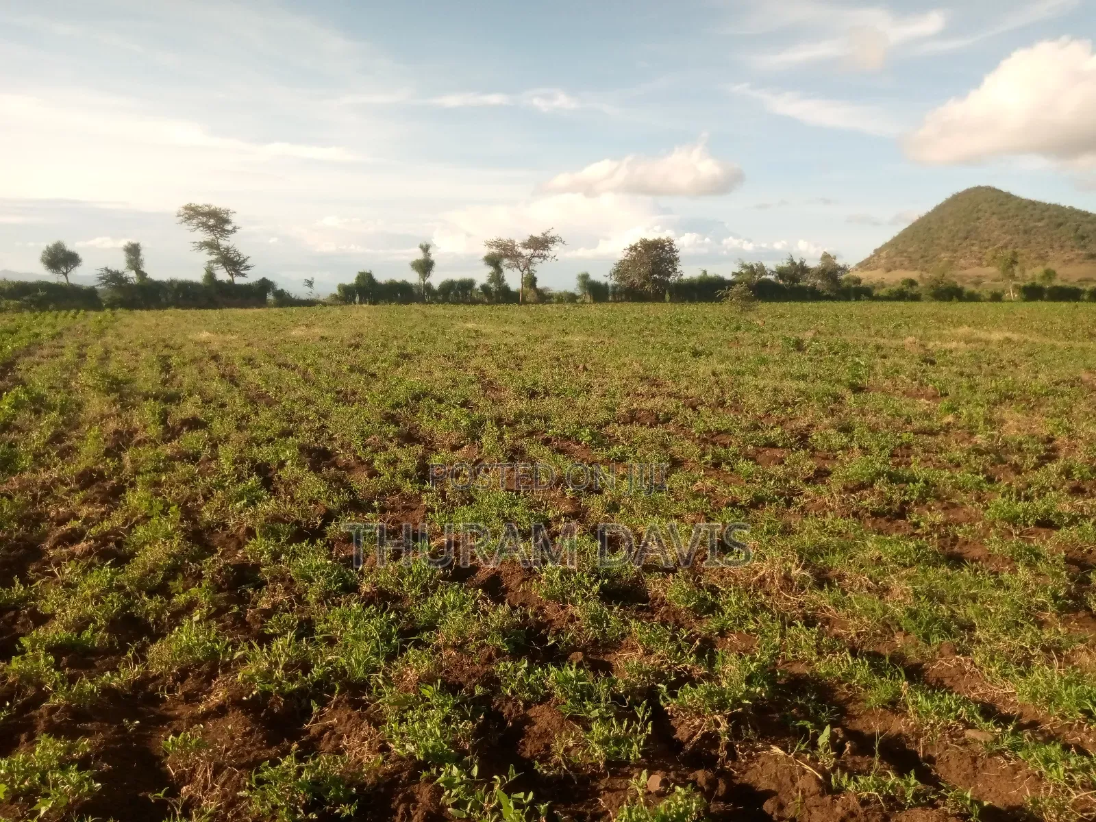 5 Acres Ruiri Rwarera