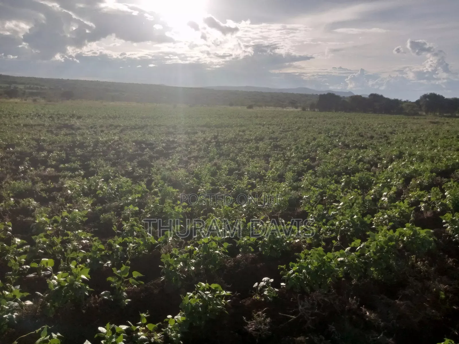 5 Acres Ruiri Rwarera