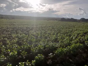 5 Acres Ruiri Rwarera