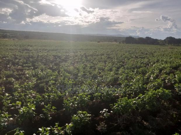 5 Acres Ruiri Rwarera - thumbnail 3