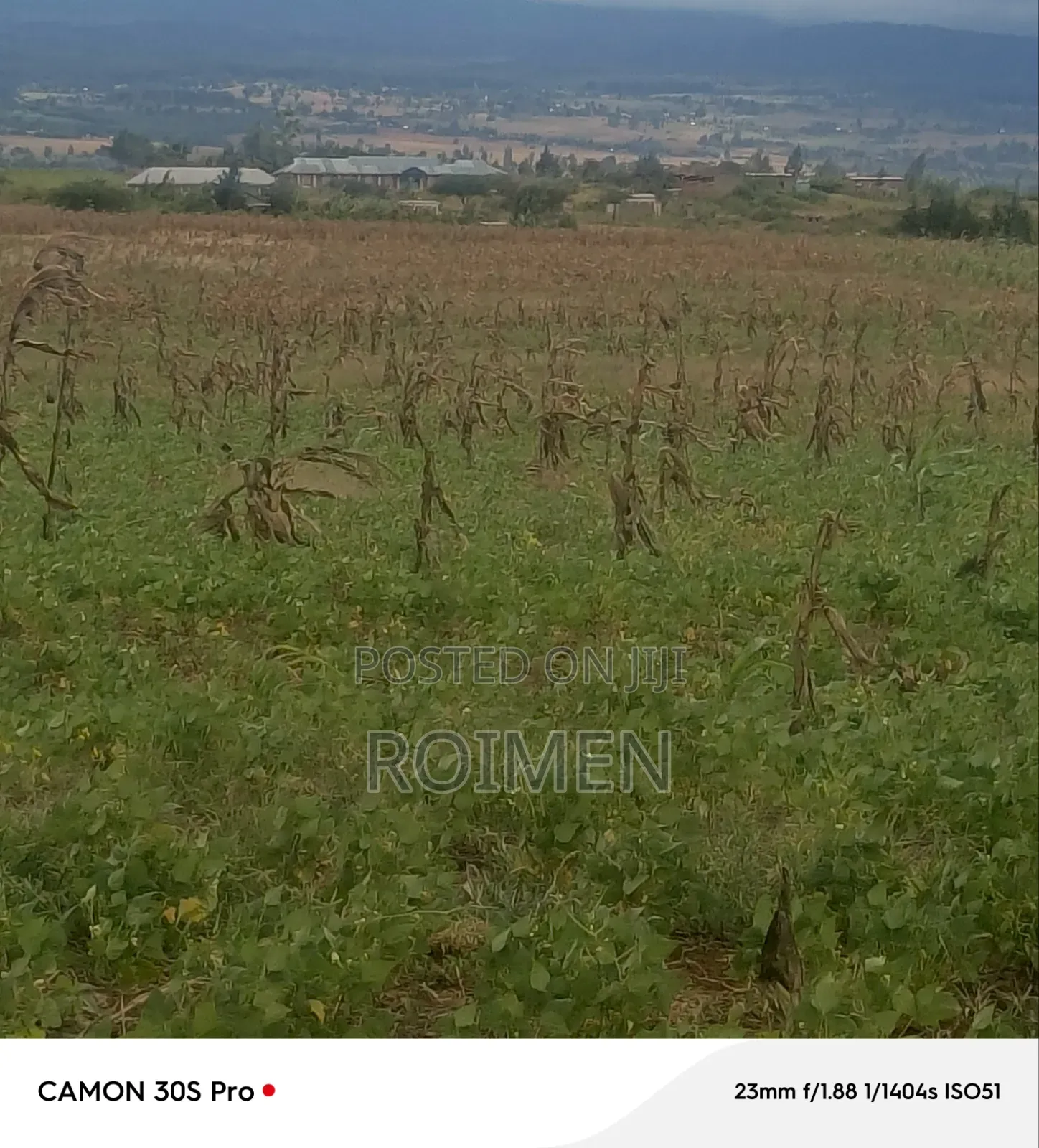 5 Acres Land