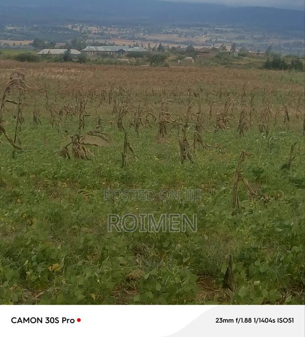 5 Acres Land
