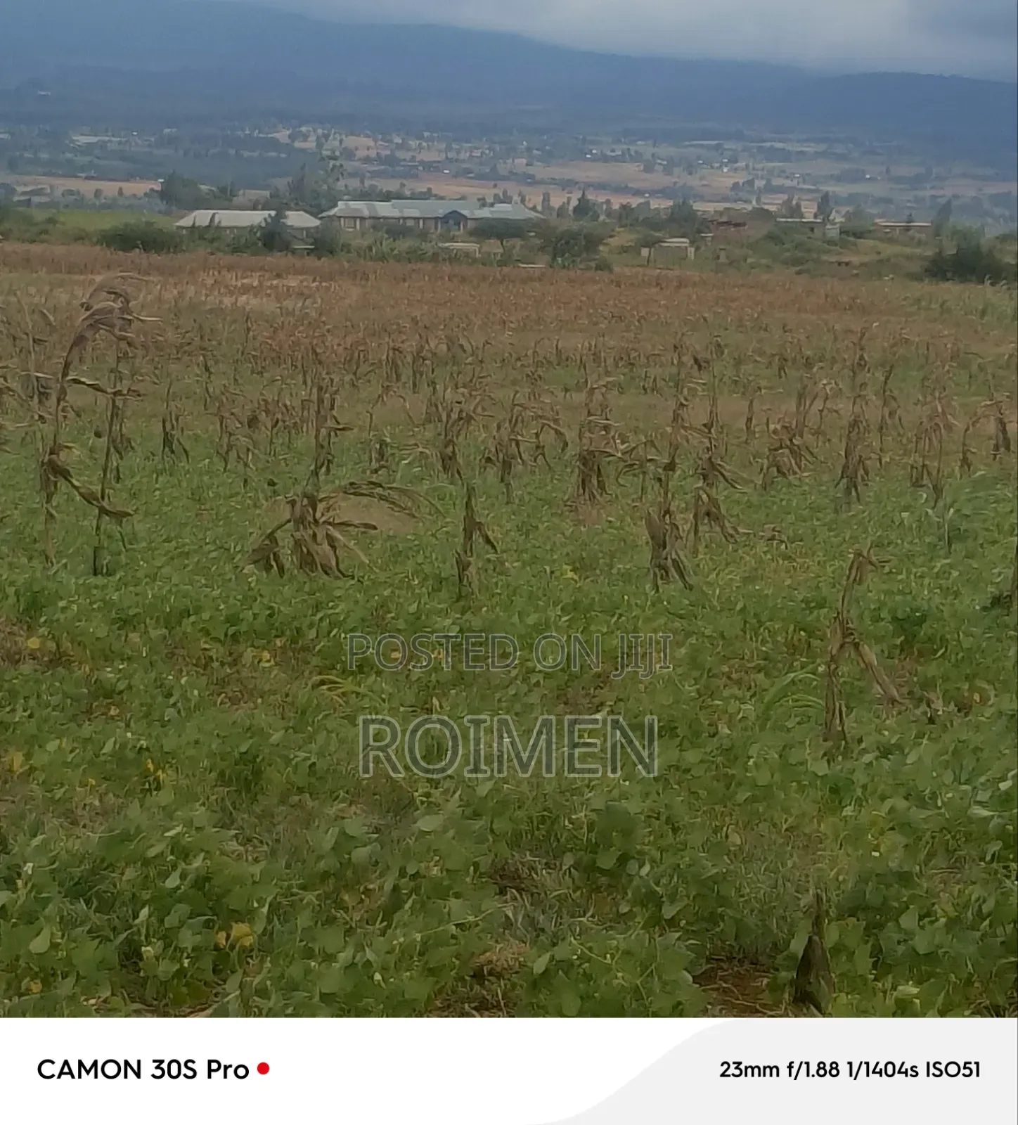 5 Acres Land