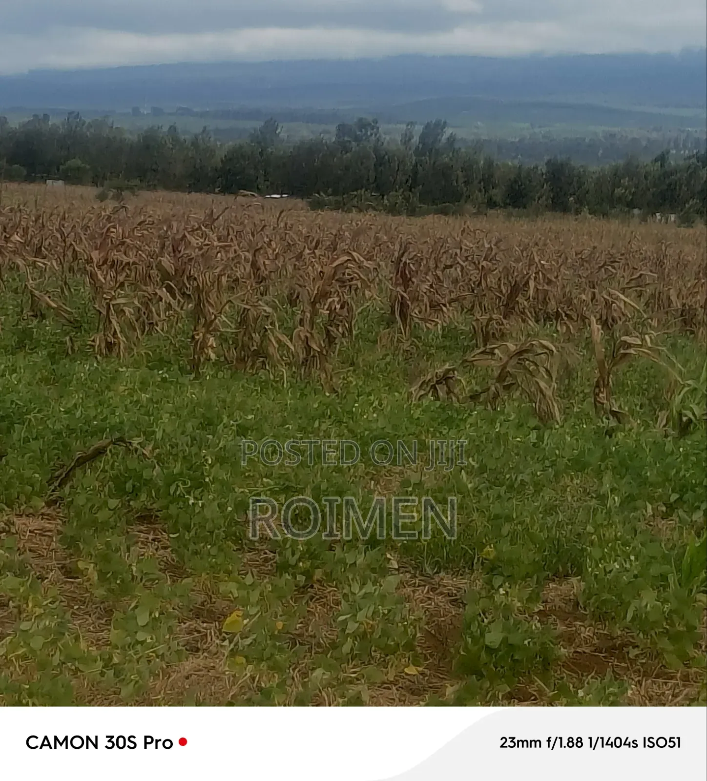 5 Acres Land