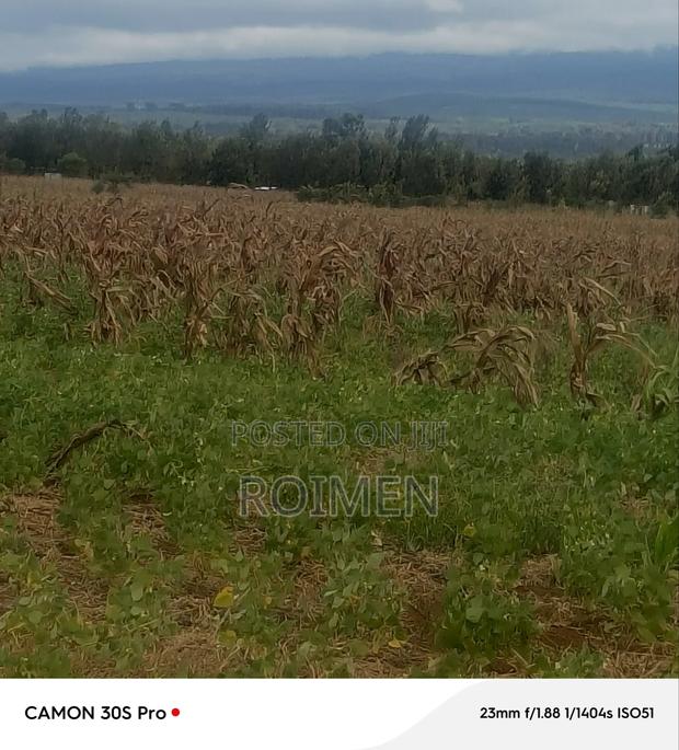 5 Acres Land - thumbnail 3