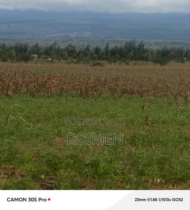 5 Acres Land - thumbnail 5