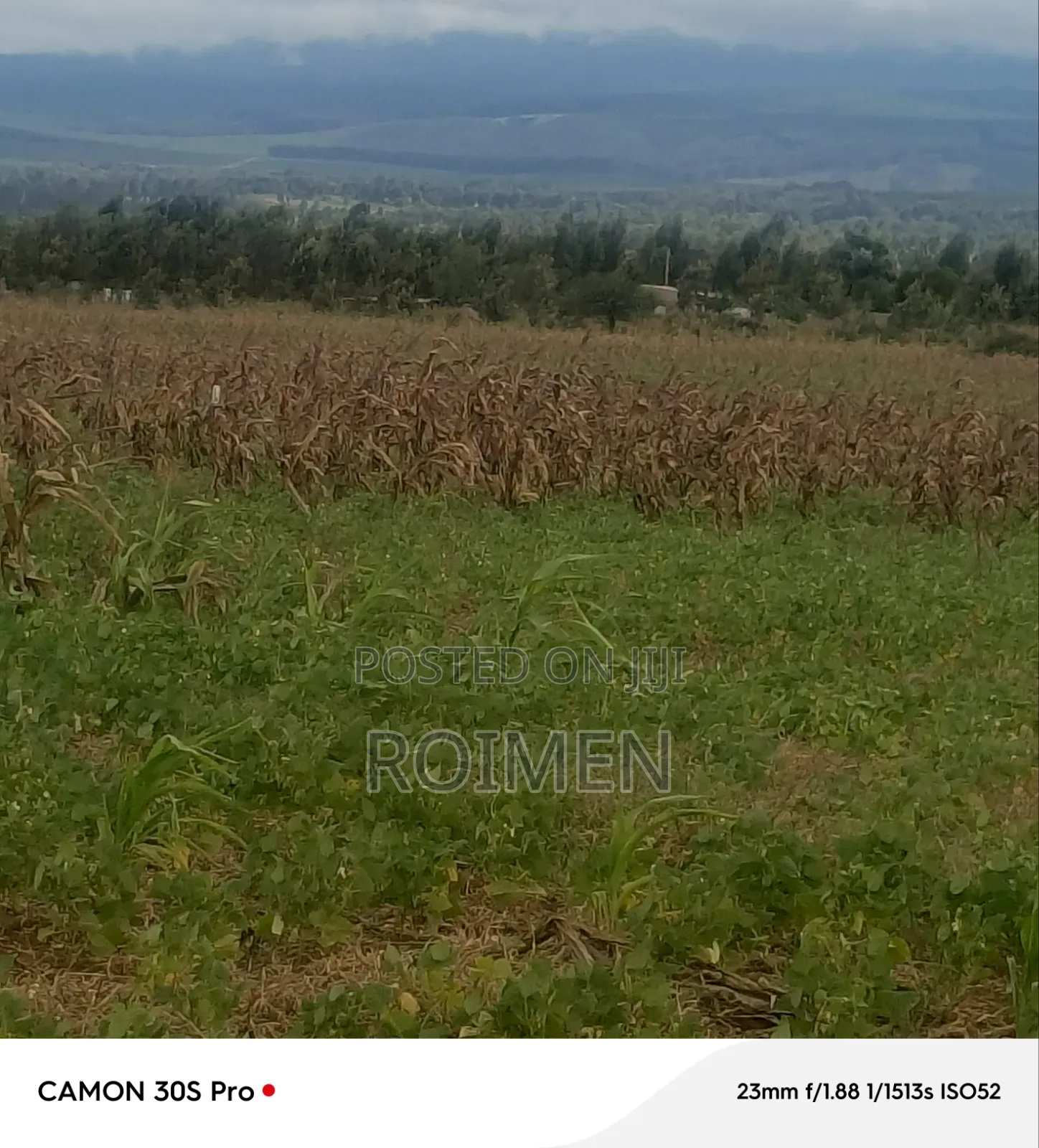 5 Acres Land