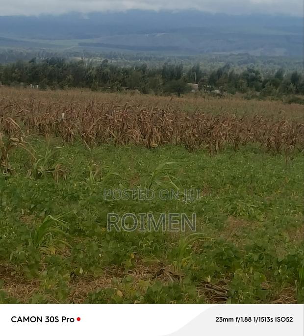 5 Acres Land - thumbnail 6