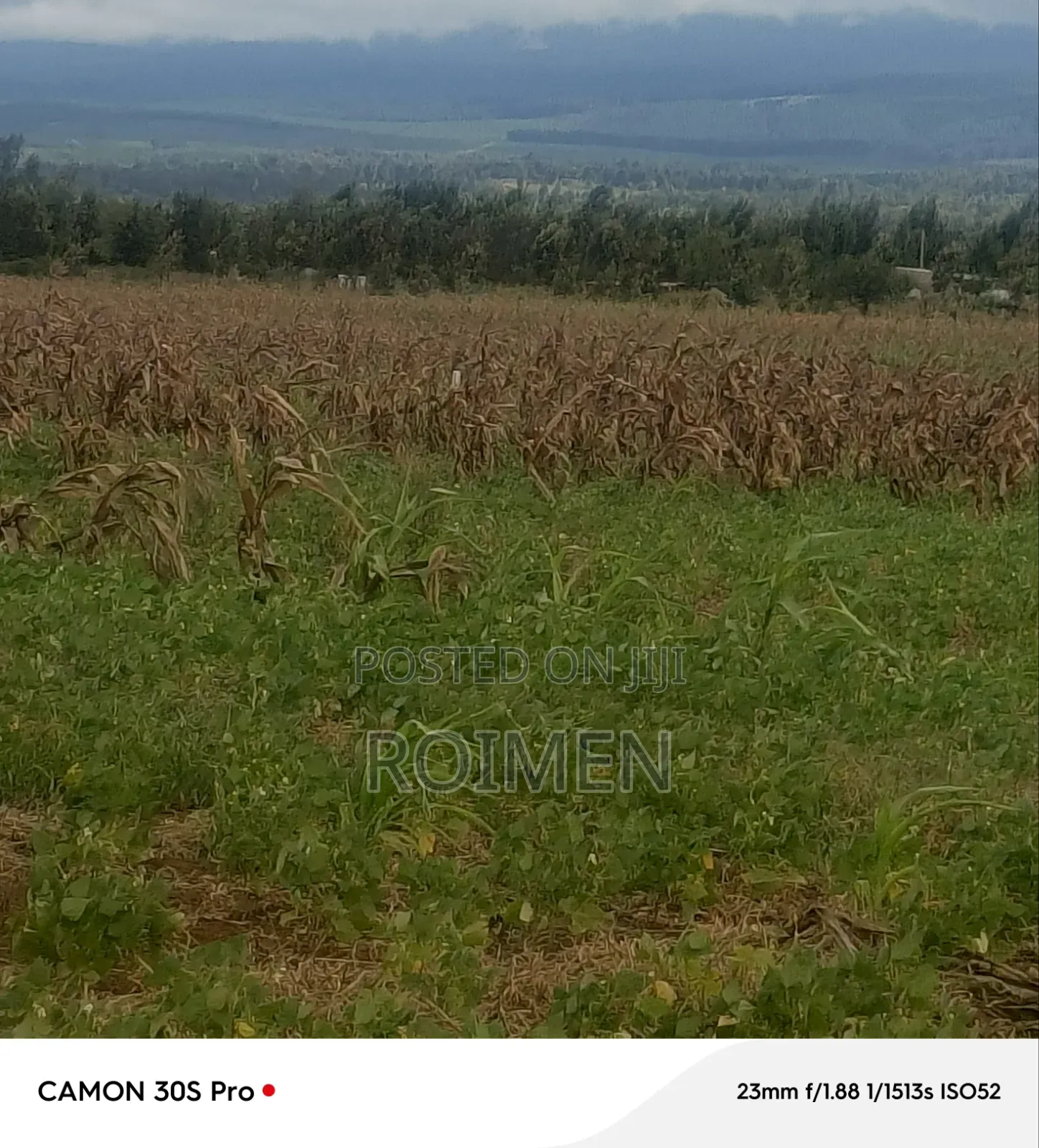 5 Acres Land