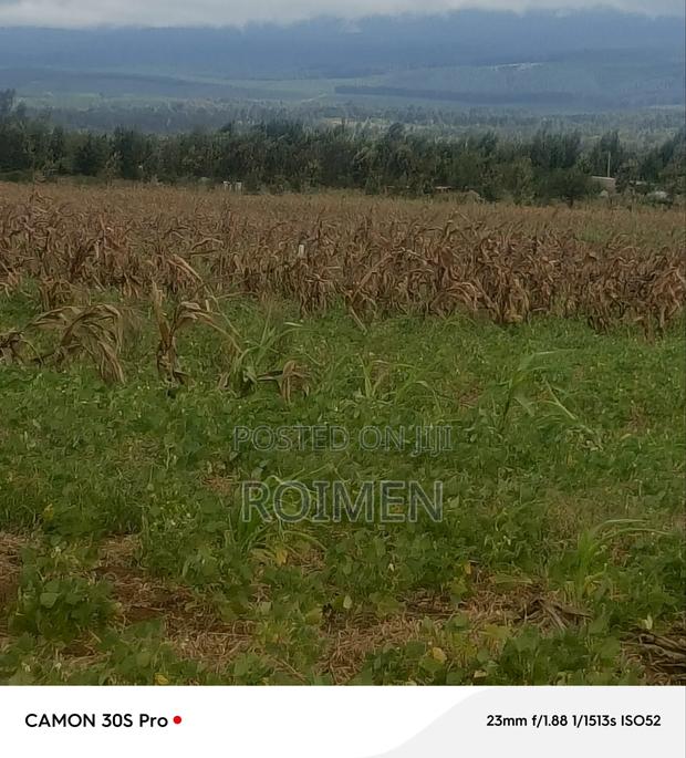 5 Acres Land - thumbnail 7