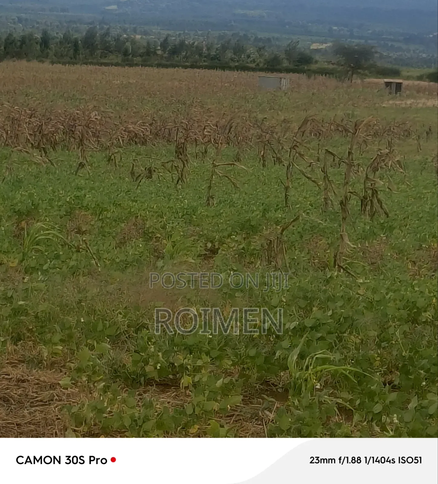 5 Acres Land
