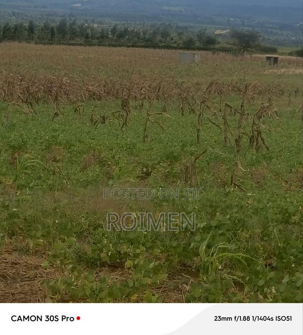5 Acres Land - thumbnail 8