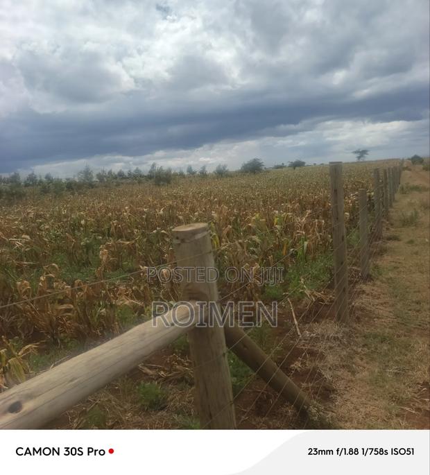 5 Acres Land - thumbnail 10