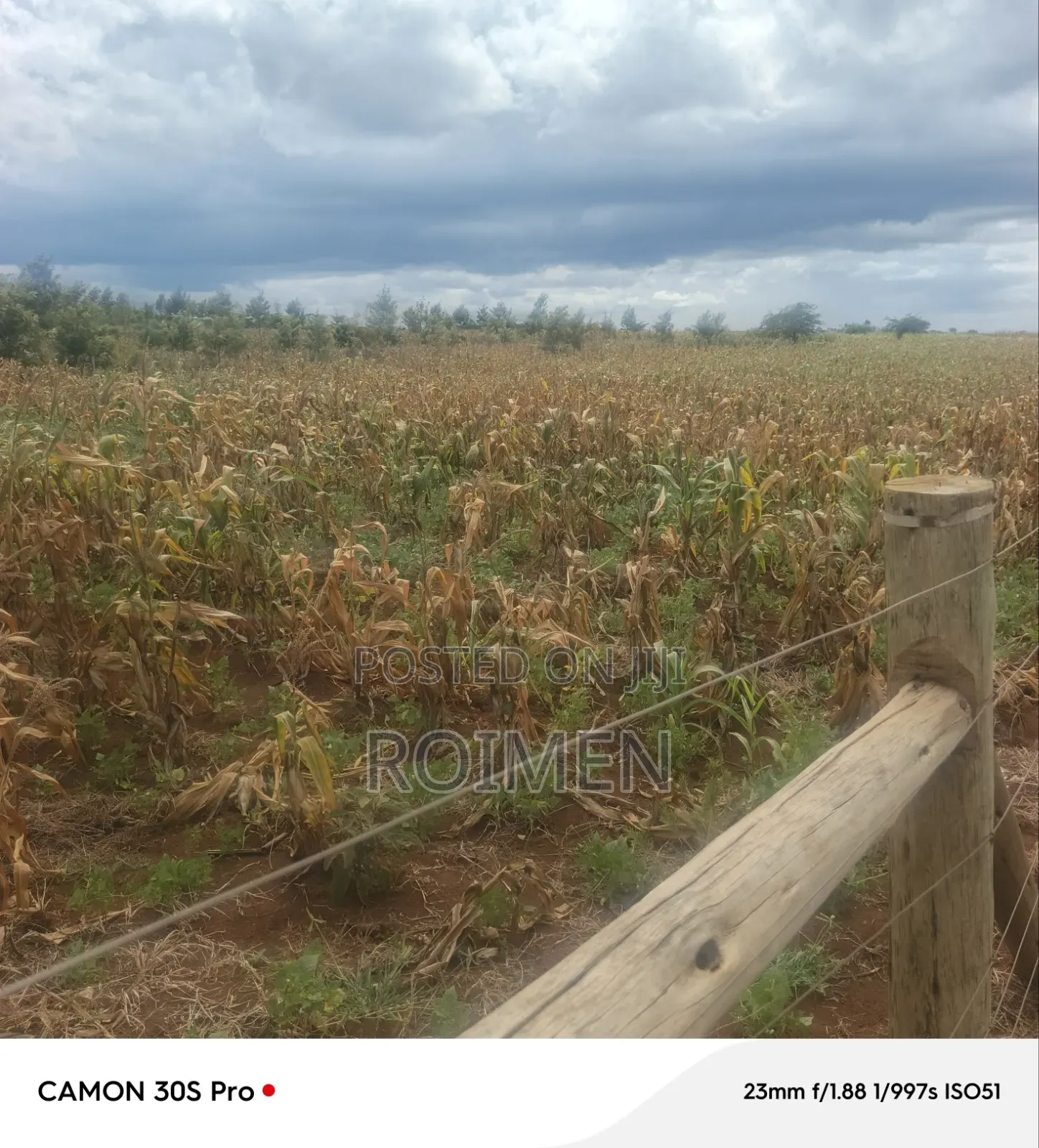 5 Acres Land