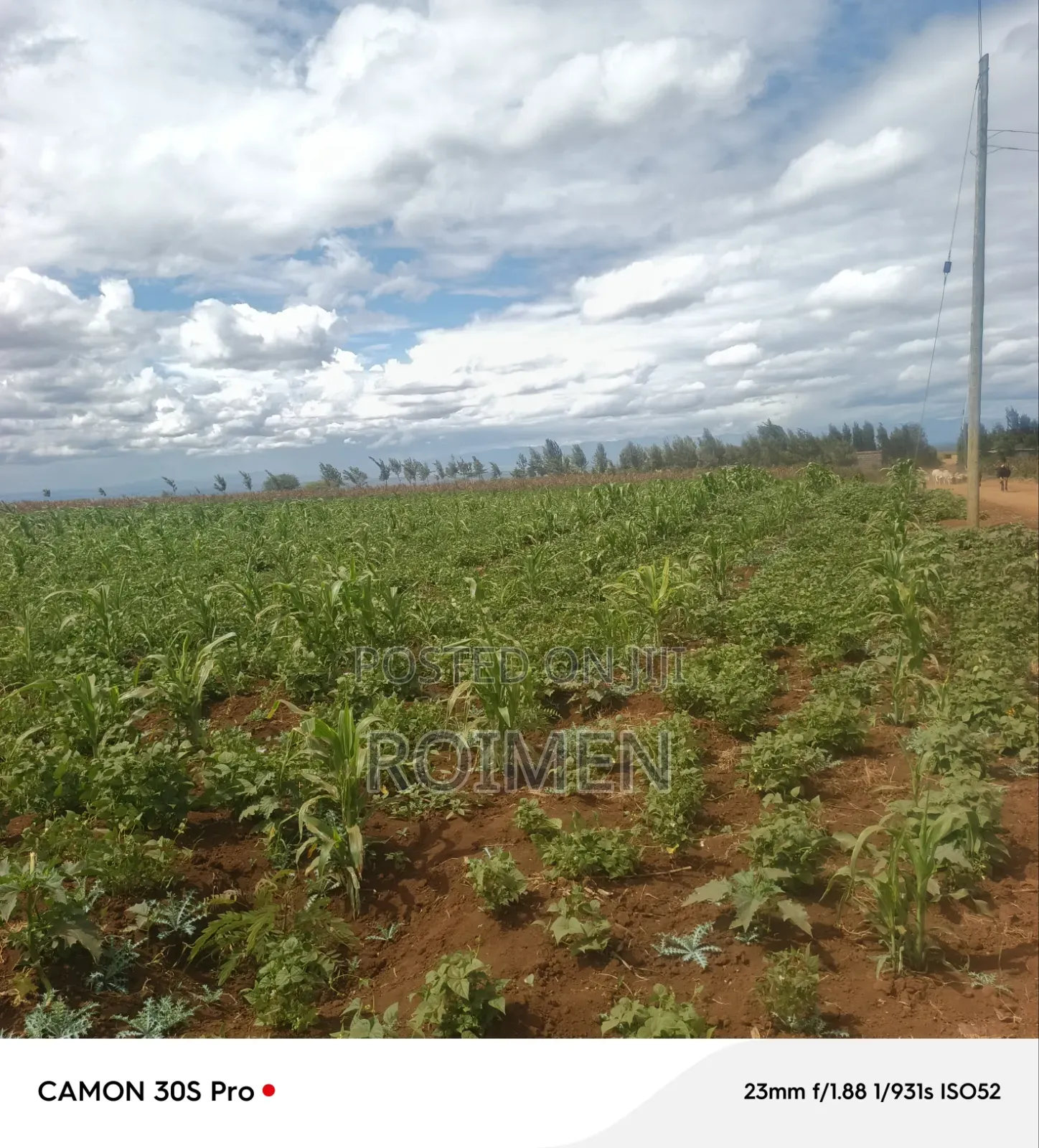 5 Acres Land