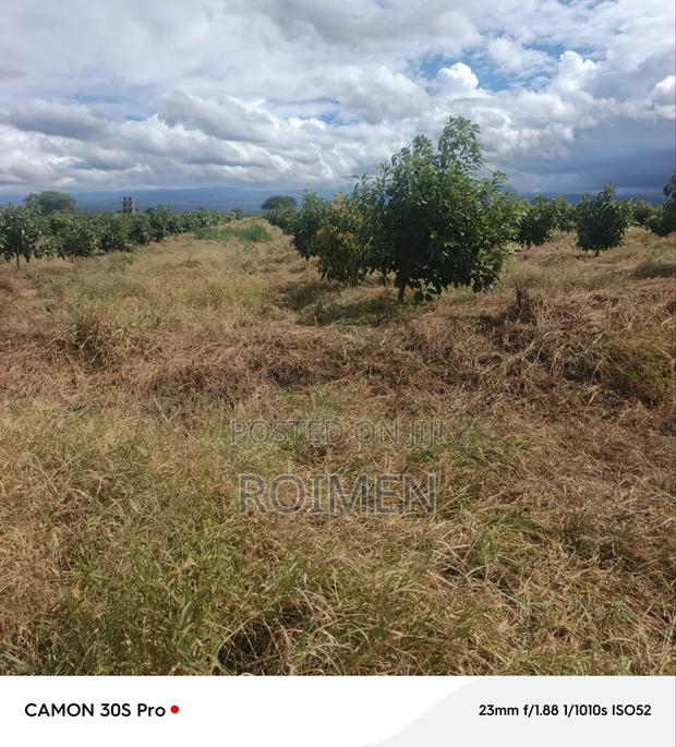 22 Acres Land - thumbnail 2