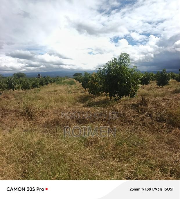 22 Acres Land - thumbnail 5