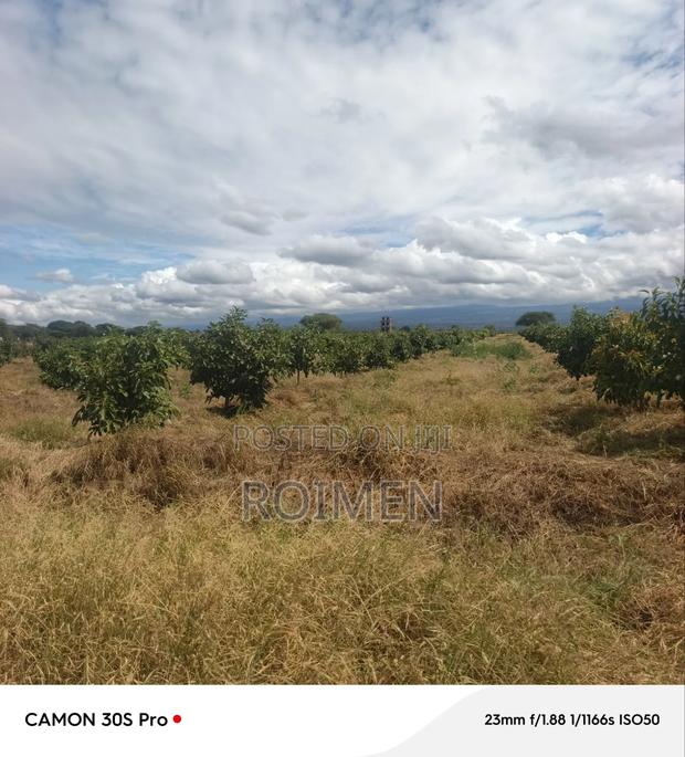 22 Acres Land - thumbnail 6