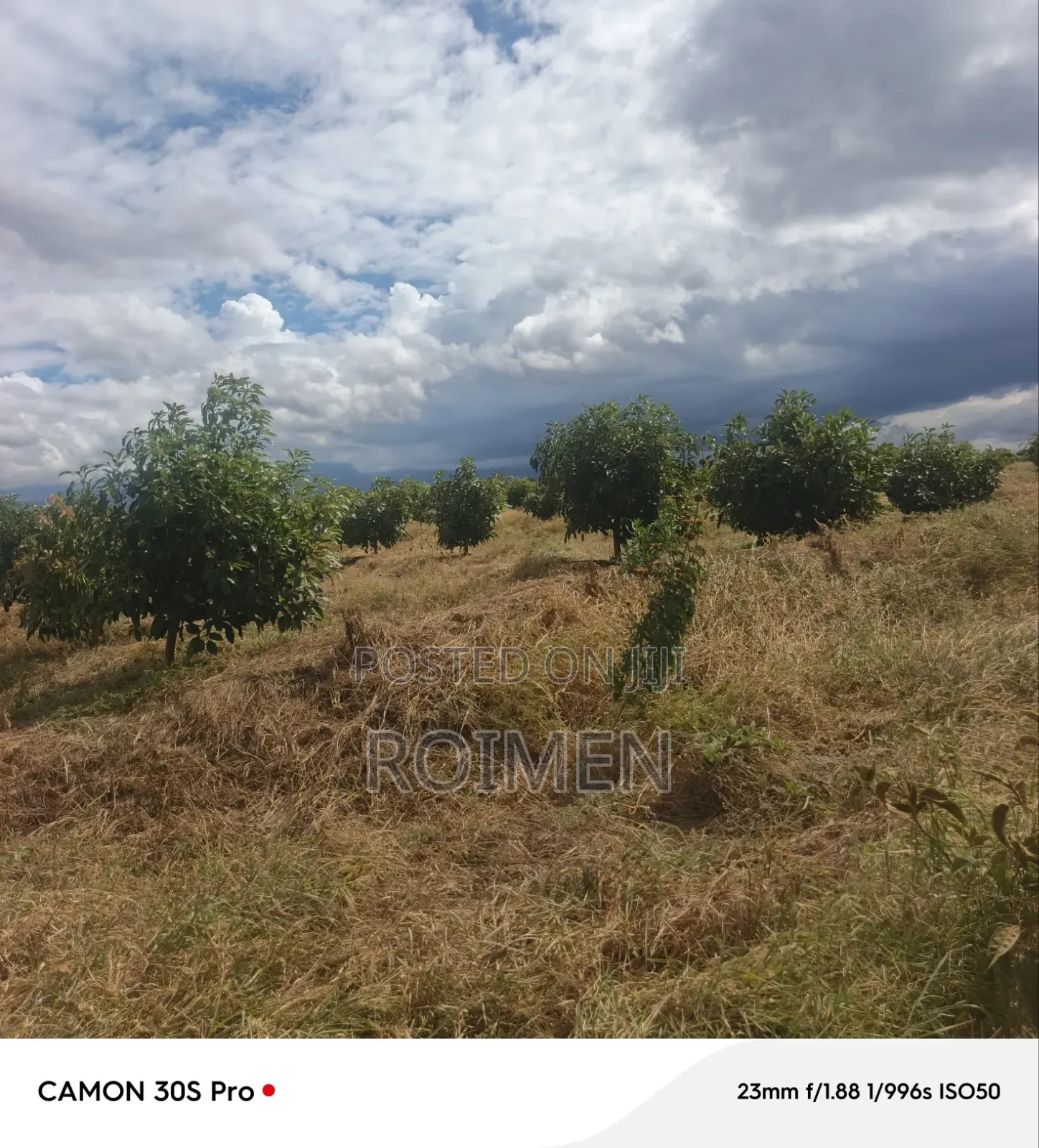 22 Acres Land