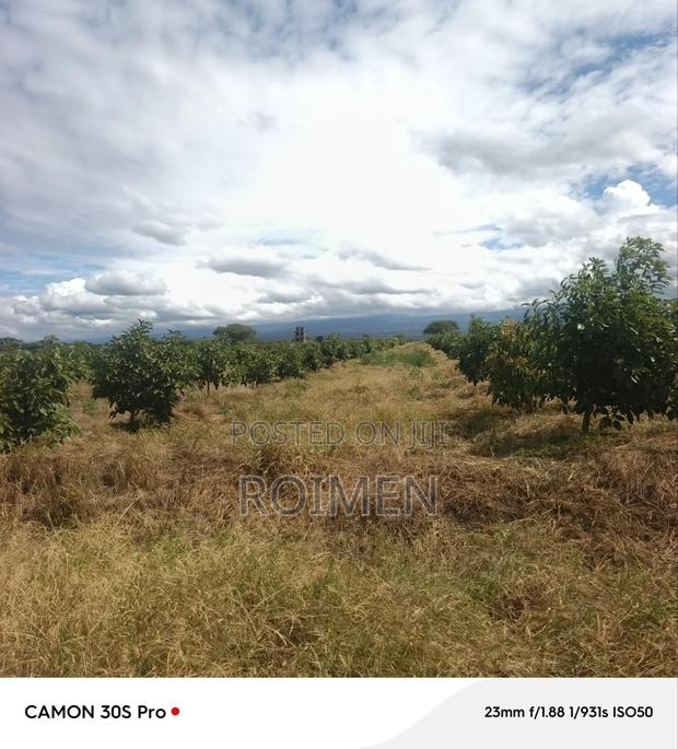 22 Acres Land - thumbnail 9