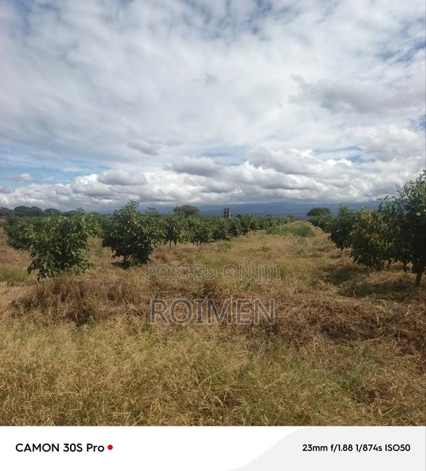 22 Acres Land - thumbnail 10