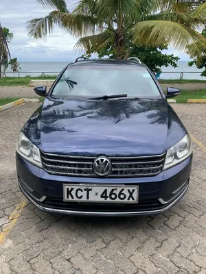 Volkswagen Passat 2012 Blue