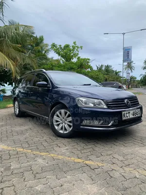 Volkswagen Passat 2012 Blue