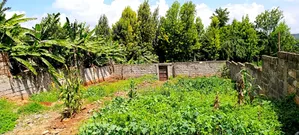 Kikuyu Plots for Sale in Sigona (100x100fts)