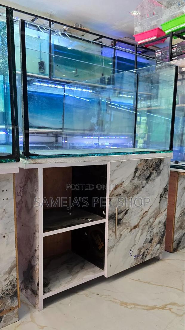Imported Aquarium