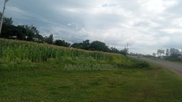 Prime Plot for Sale in Homa-Eas Central. 50x100 Plot-Direct Transfer. - thumbnail 3