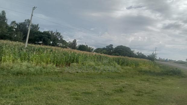Prime Plot for Sale in Homa-Eas Central. 50x100 Plot-Direct Transfer. - thumbnail 4