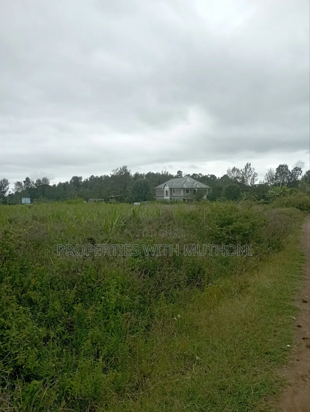 100×100 Plot for Sale in Matasia, Ngong.