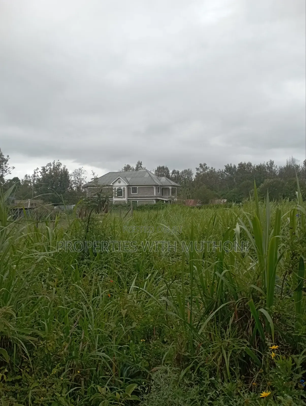 100×100 Plot for Sale in Matasia, Ngong.