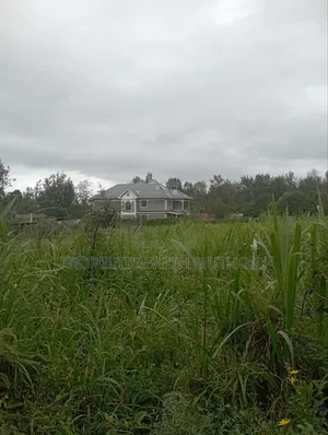 100×100 Plot for Sale in Matasia, Ngong.