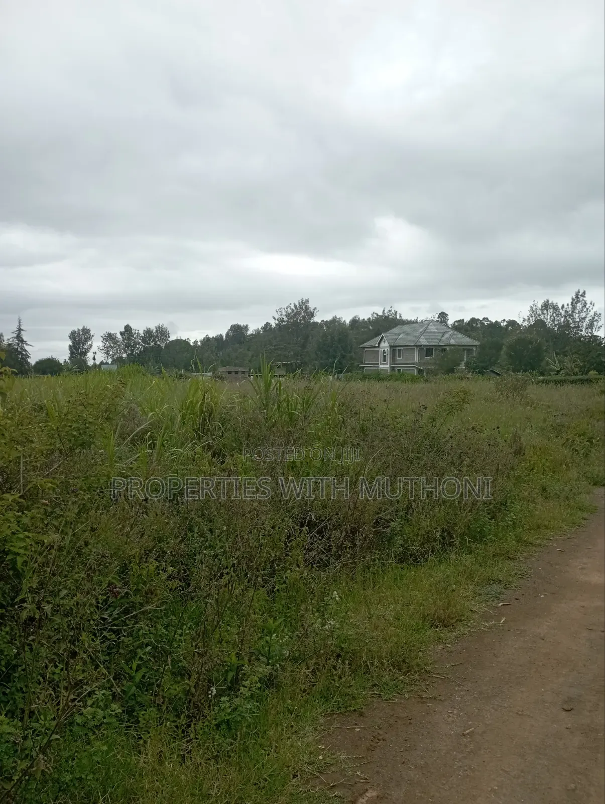100×100 Plot for Sale in Matasia, Ngong.