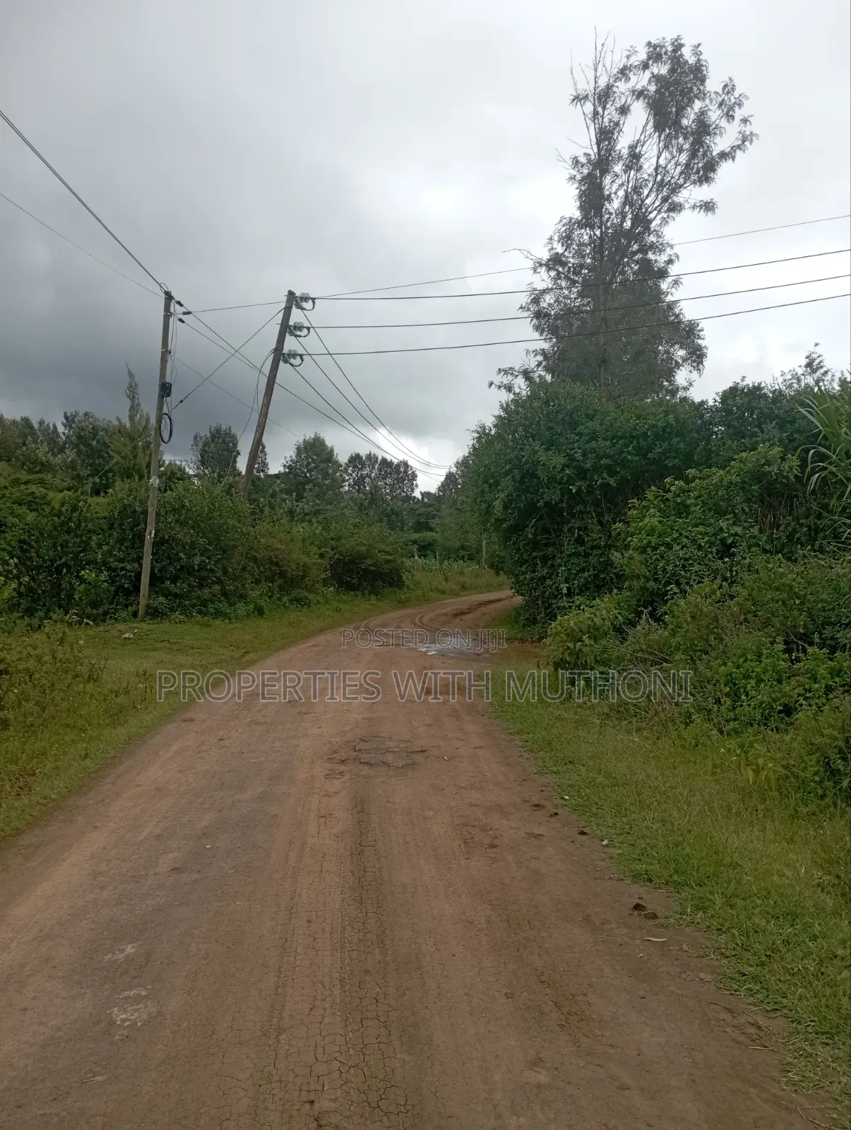 100×100 Plot for Sale in Matasia, Ngong.