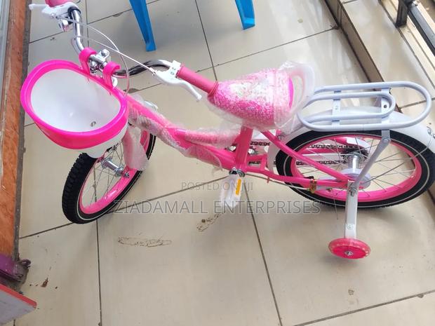Bicycle Size 16 Lady Bird Pinksafe, Stylish, and Built for Kids