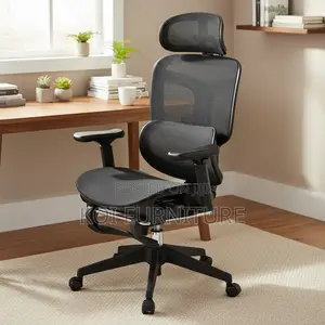 Office Chairs; Mesh Fabric Ergonomic Orthopedic Executive Foot Chairs