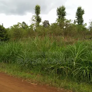 Land for Sale in Kirinyaga