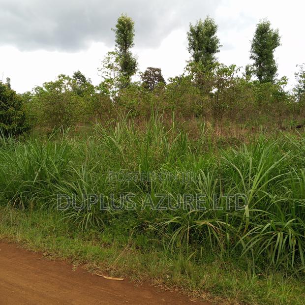 Land for Sale in Kirinyaga