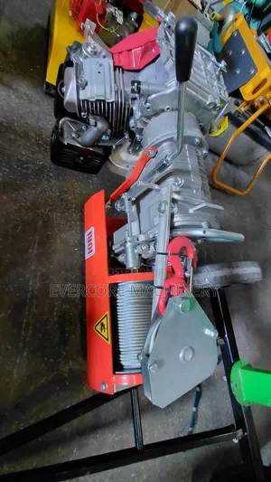 Iori Italian 1000kg Honda Concrete Hoist Machine Gx270.