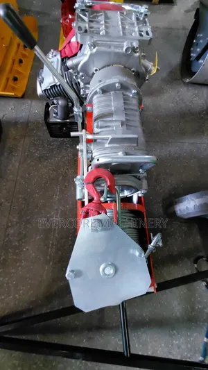Iori Italian 1000kg Honda Concrete Hoist Machine Gx270.