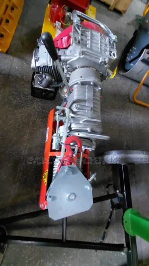 Iori Italian 1000kg Honda Concrete Hoist Machine Gx270.