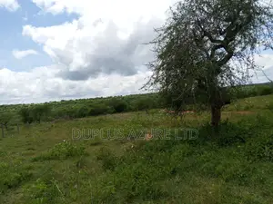 15 Acres for Sale in Kajiado